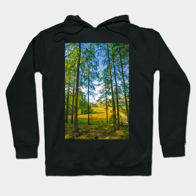 Tall Evergreens by Blea Tarn Hoodie by BrianPShaw